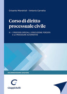 Cover of Corso di diritto processuale civile