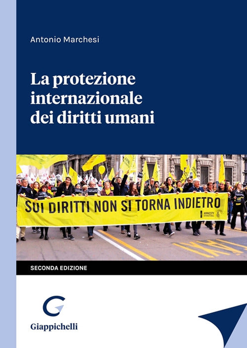Cover of protezione internazionale dei diritti umani