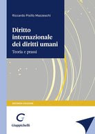Cover of Diritto internazionale dei diritti umani. Teoria e prassi