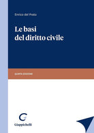 Cover of basi del diritto civile