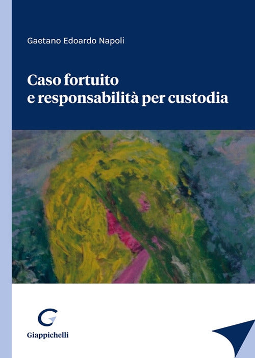 Cover of Caso fortuito e responsabilità per custodia