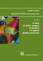 Cover of Spiegazioni di diritto processuale civile