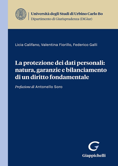 Cover of protezione dei dati personali: natura, garanzie e bilanciamento di un diritto fondamentale