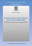 L'istituzione degli assetti adeguati nelle piccole e medie imprese. Profili tecnici, normativi ed economico-aziendali