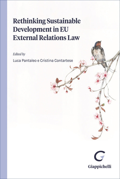 Rethinking sustainable development in EU external relations law