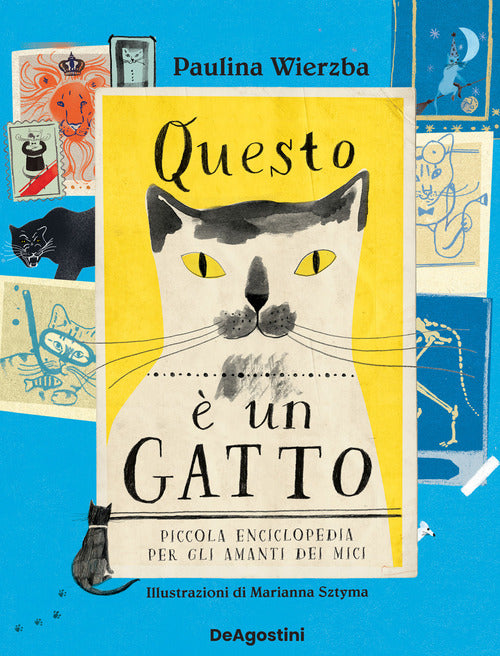Cover of Questo è un gatto. Piccola enciclopedia per gli amanti dei mici