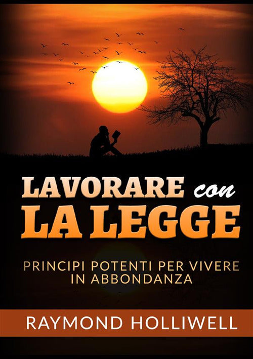 Cover of Lavorare con la Legge. Potenti principi per una vita abbondante