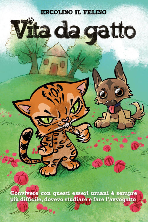 Cover of Vita da gatto