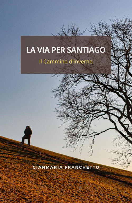 Cover of via per Santiago. Il Cammino d'inverno