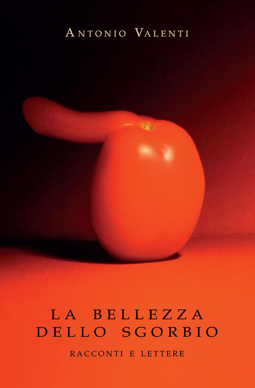 Cover of bellezza dello sgorbio. Racconti e lettere