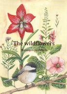 Cover of wildflowers