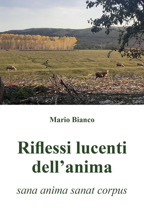 Cover of Riflessi lucenti dell'anima