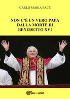 Cover of Non c'è un vero Papa dalla morte di Benedetto XVI