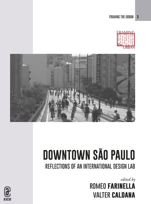 Cover of Downtown São Paulo. Reflections of an international design lab