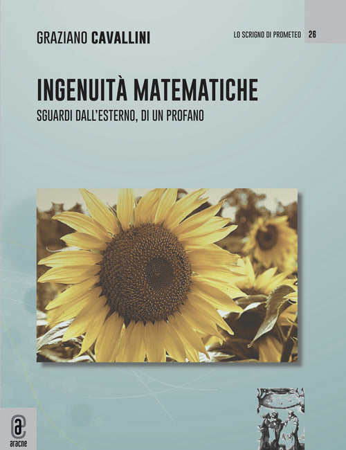 Cover of Ingenuità matematiche. Sguardi dall'esterno, di un profano