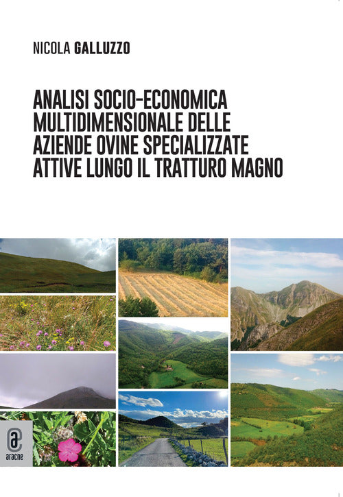 Cover of Analisi socio-economica multidimensionale delle aziende ovine specializzate attive lungo il tratturo Magno