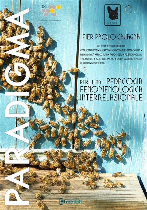 Cover of Paradigma per una pedagogia fenomenologica interrelazionale