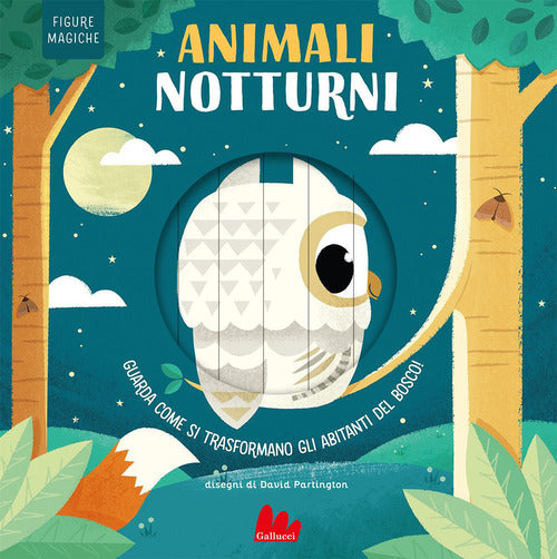 Cover of Animali notturni. Figure magiche