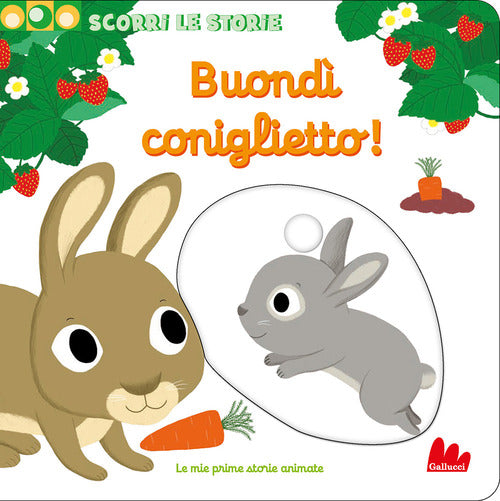 Cover of Buondì coniglietto. Scorri le storie