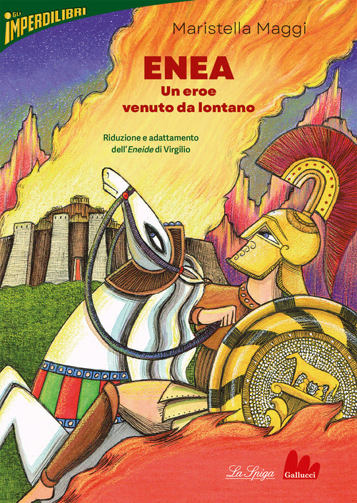Cover of Enea, un eroe venuto da lontano