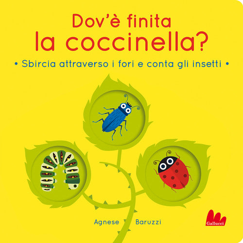 Cover of Dov'è finita la coccinella? Sbircia attraverso i fori e conta gli insetti