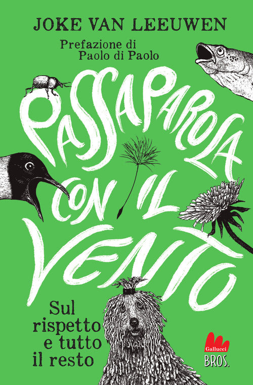Passaparola con il vento. Sul rispetto e tutto il resto