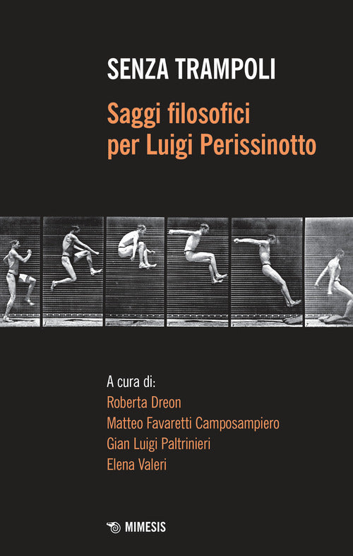 Cover of Senza trampoli. Saggi filosofici per Luigi Perissinotto