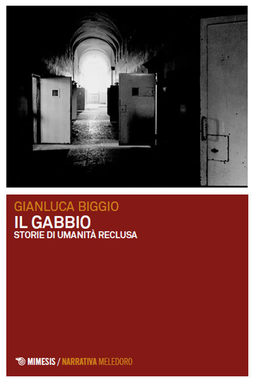 Il gabbio. Storie di umanit reclusa