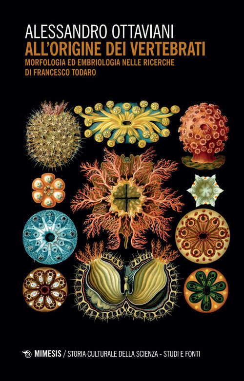 All'origine dei vertebrati. Morfologia ed embriologia nelle ricerche di Francesco Todaro