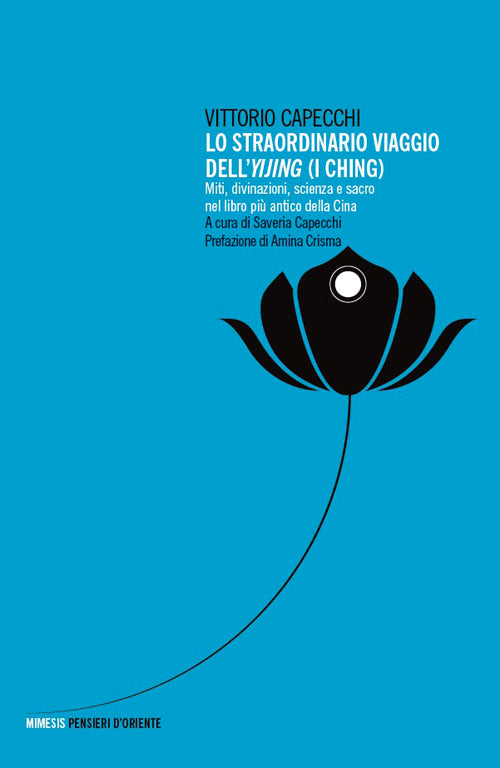 Lo straordinario viaggio dell'Yijing. Miti, divinazioni, scienza e sacro nel libro più antico della Cina