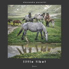 Cover of Little Tibet