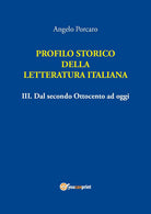 Cover of Profilo storico della letteratura italiana