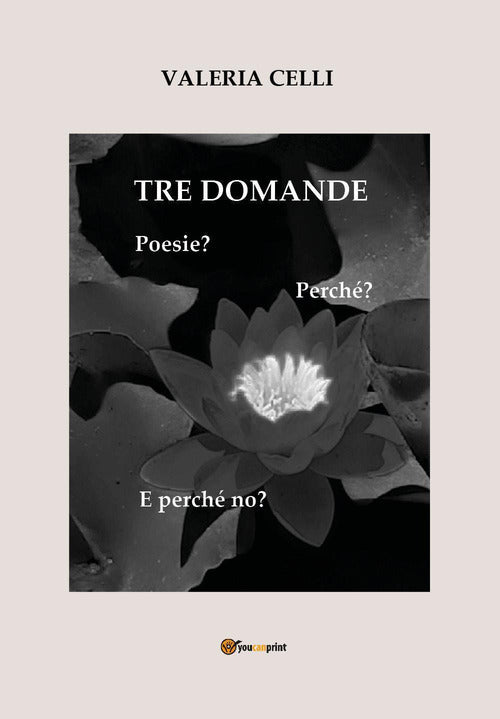 Cover of Tre domande. Poesie? Perché? E perché no?