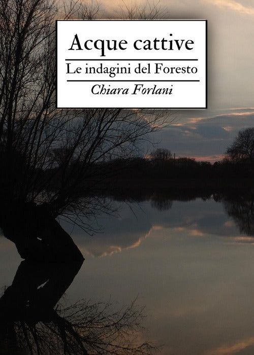 Cover of Acque cattive. Le indagini del Foresto