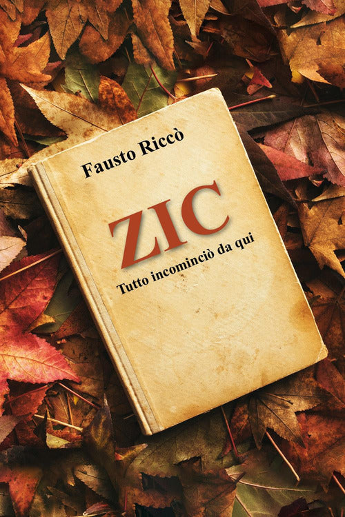 Zic. Tutto incominci da qu