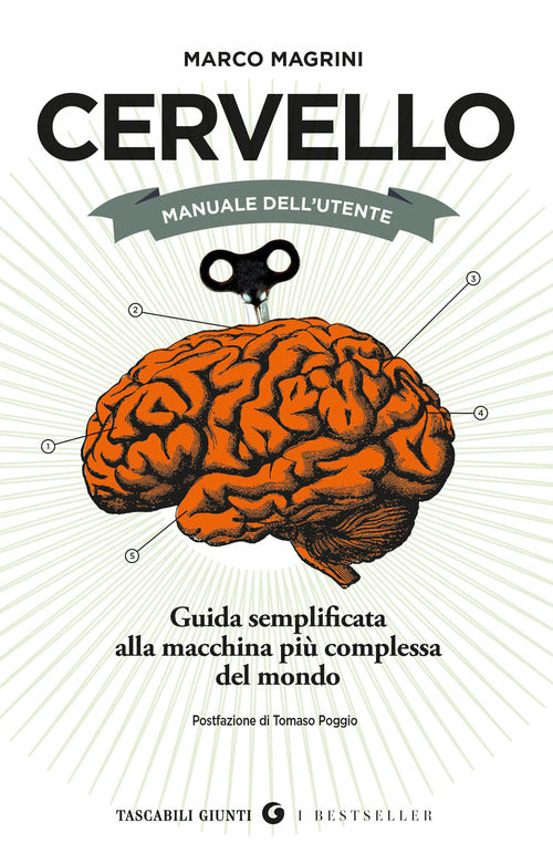 Cervello. Manuale dell'utente. Guida semplificata alla macchina pi complessa del mondo