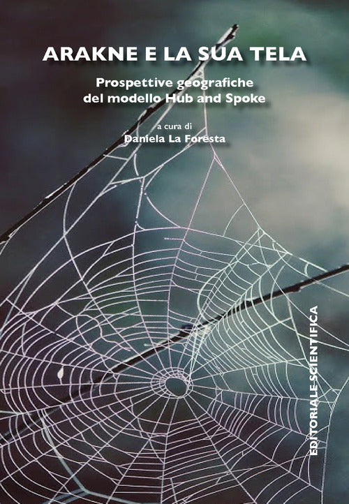 Arakne e la sua tela. Prospettive geografiche del modello Hub and Spoke