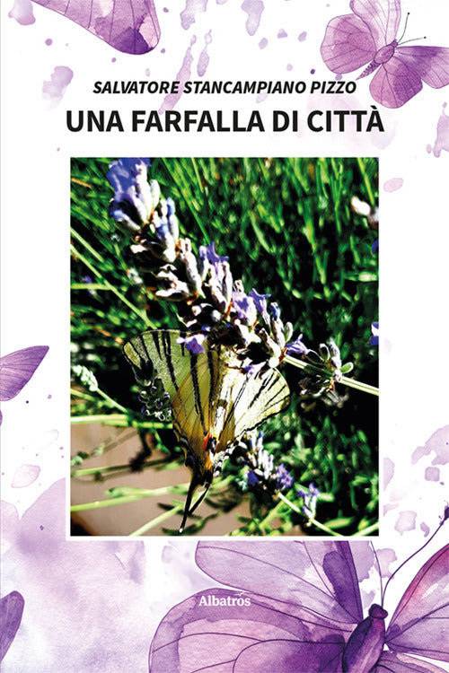 Una farfalla di citt