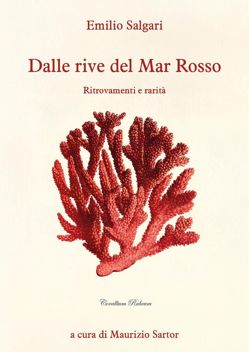 Dalle rive del Mar Rosso. Ritrovamenti e rarità