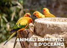 Animali domestici e d'oceano