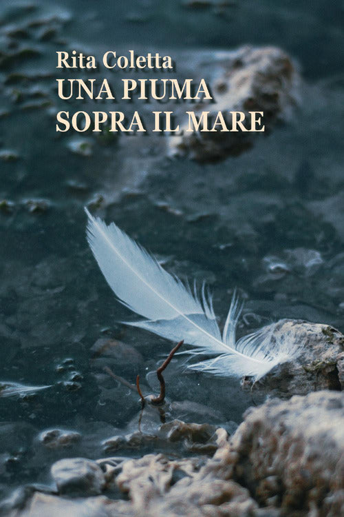 Una piuma sopra il mare