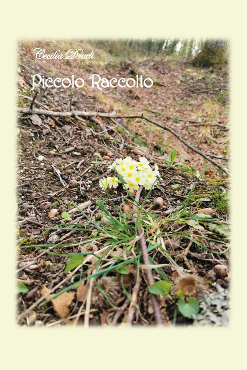 Piccolo raccolto