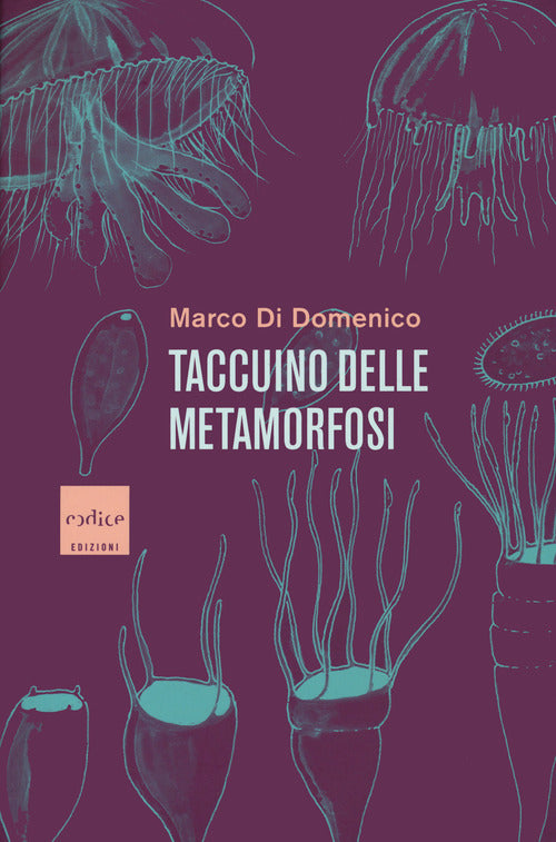 Cover of Taccuino delle metamorfosi