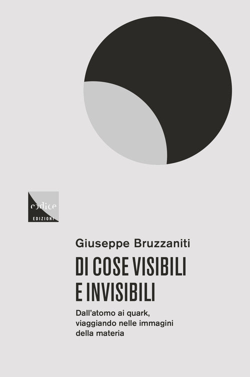 Cover of Di cose visibili e invisibili. Dall'atomo al quark, viaggio nelle immagini della materia