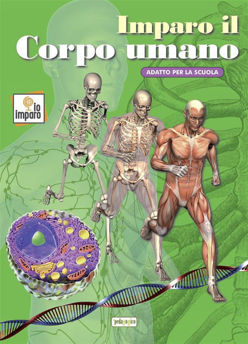 Cover of Imparo il corpo umano