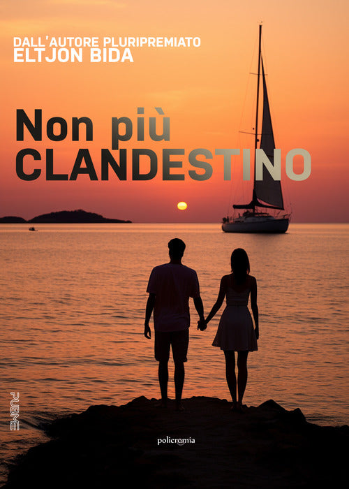 Cover of Non più clandestino