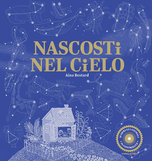 Cover of Nascosti nel cielo