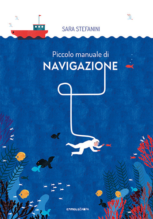 Cover of Piccolo manuale di navigazione