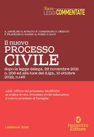 Cover of nuovo processo civile, alla luce del d.lgs. 10 ottobre 2022, n. 149