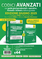 Codice penale ragionato 2025 aggiornato al DL sicurezza convertito in legge Giugno 2025